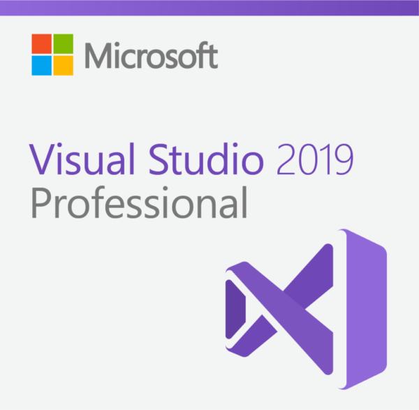 MS Visual Studio 2019 Professional 1024x1024 1